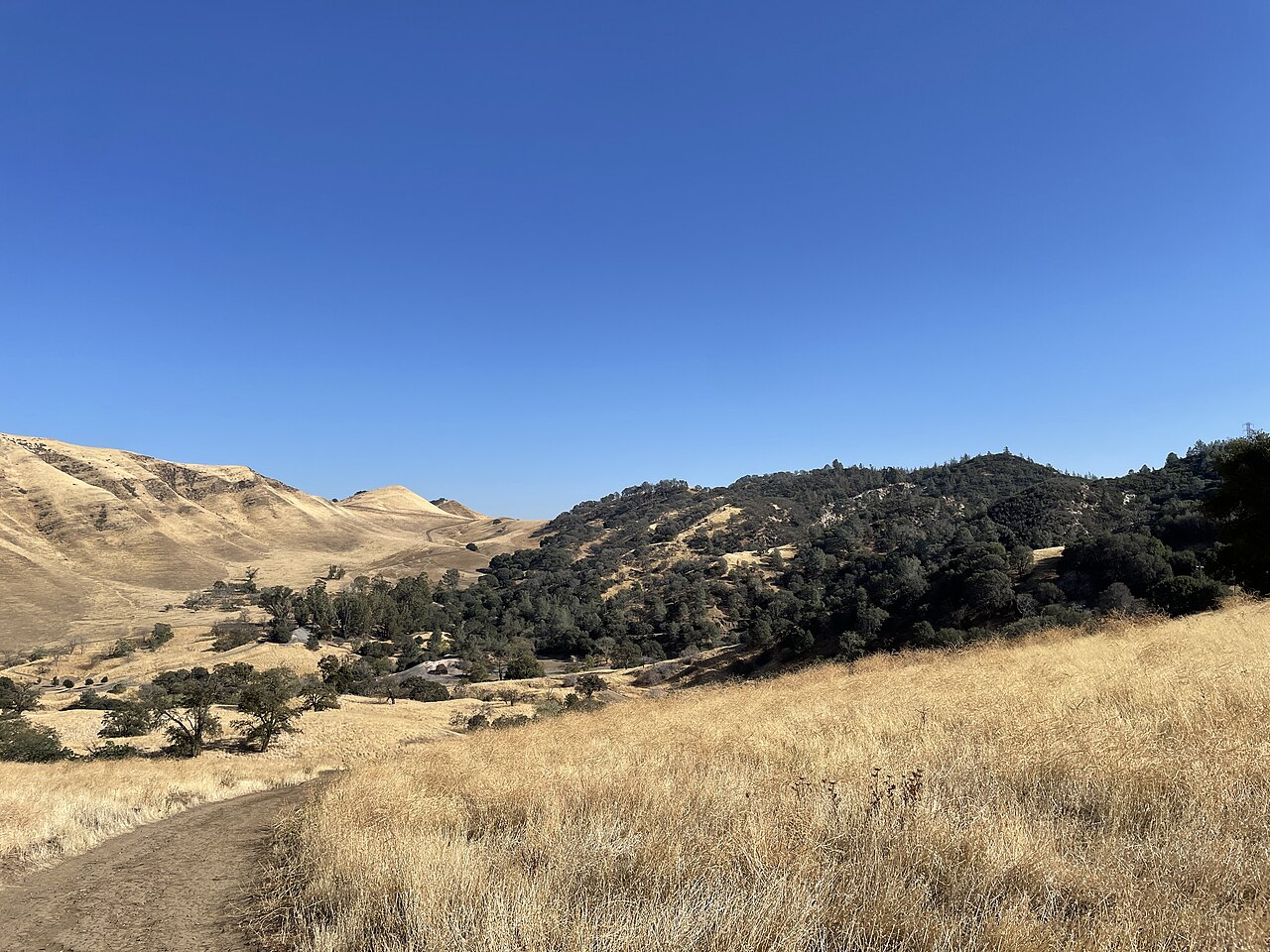 Dry golden hills, a trail and wooded slopes at Black Diamond Mines Regional Preserve beneath a blue sky.